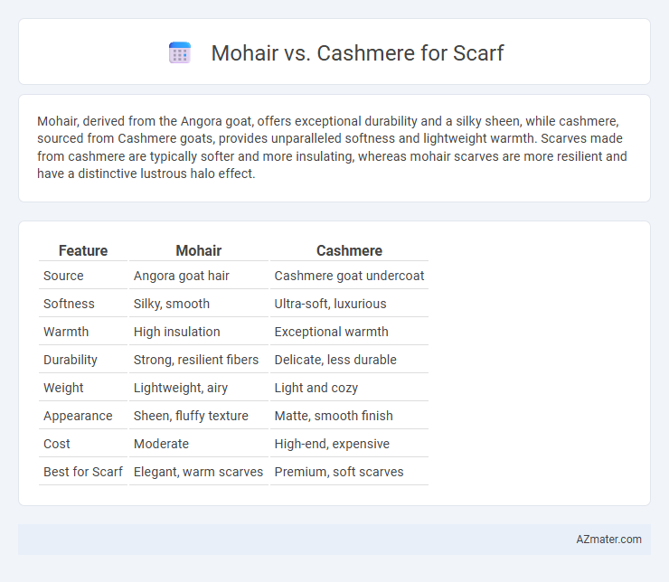 Mohair vs. Cashmere for Scarf - What is The Difference?