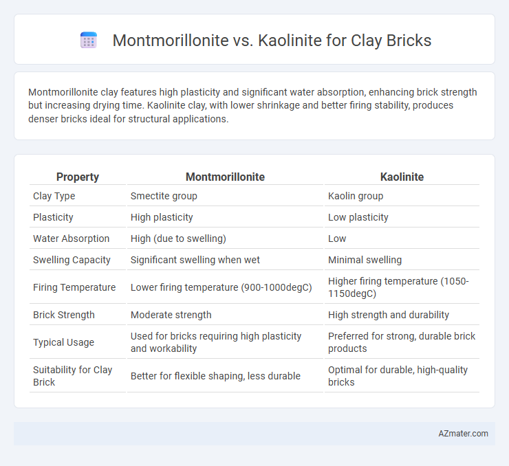 Montmorillonite vs. Kaolinite for Clay Bricks - What is The Difference?