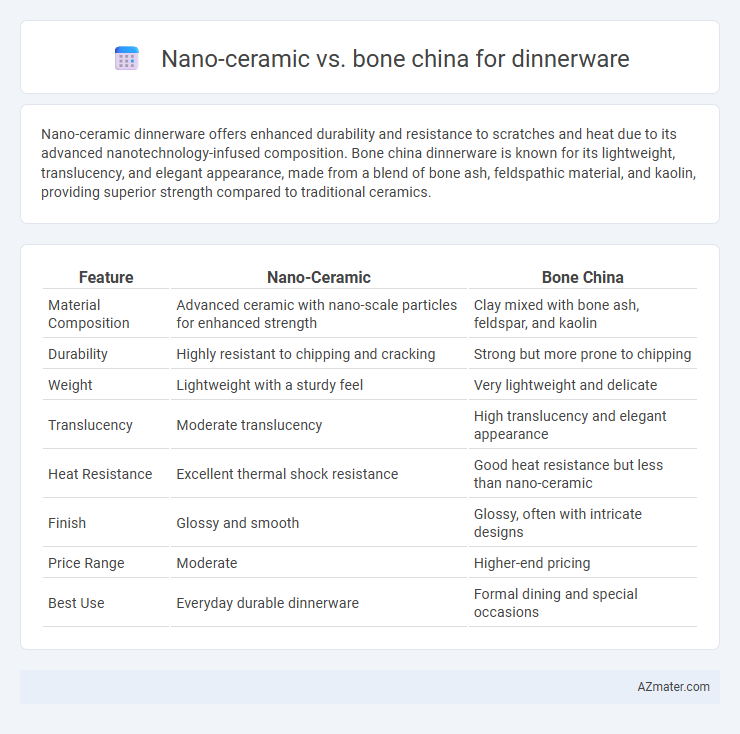 Nano-ceramic vs. bone china for dinnerware - What is The Difference?