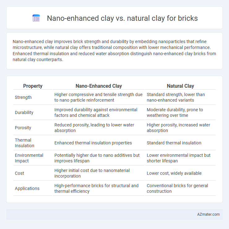 Nano-enhanced clay vs. natural clay for bricks - What is The Difference?