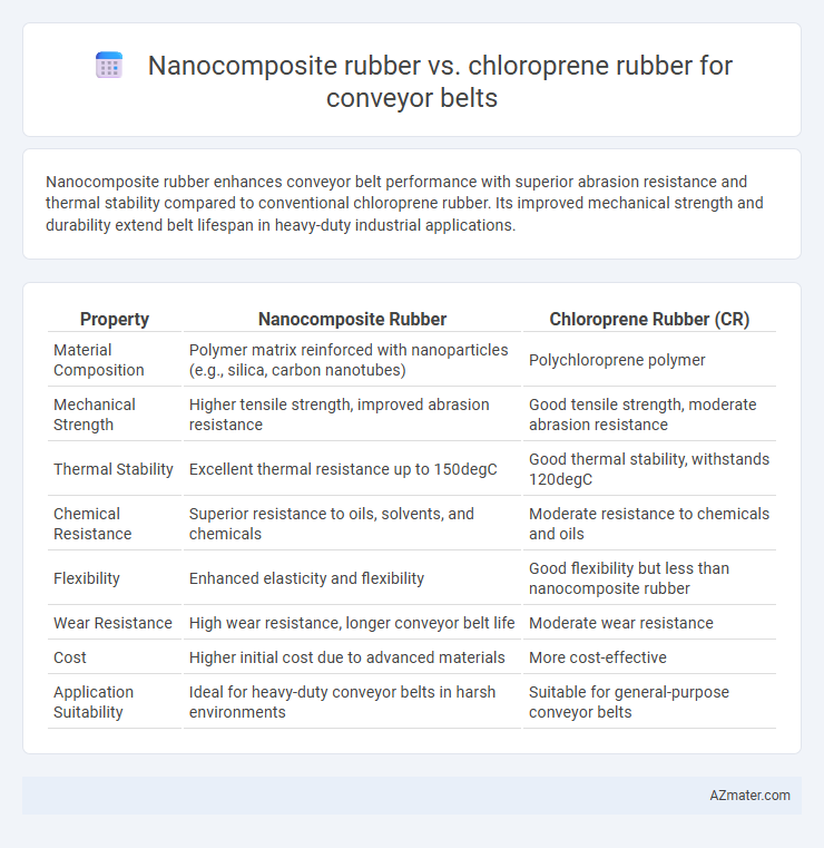 Nanocomposite rubber vs. chloroprene rubber for conveyor belts - What is The Difference?