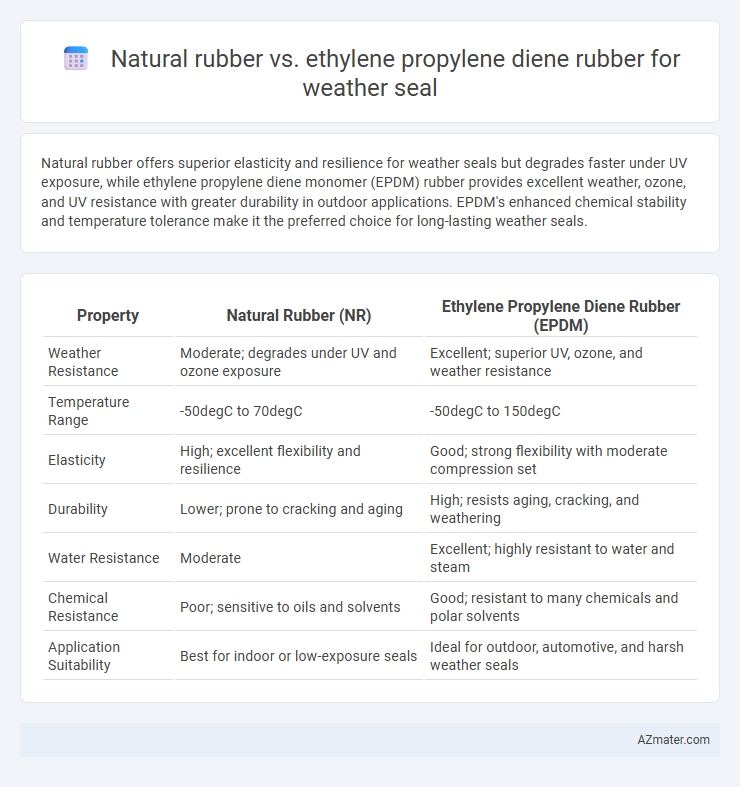 Natural rubber vs. ethylene propylene diene rubber for weather seal - What is The Difference?