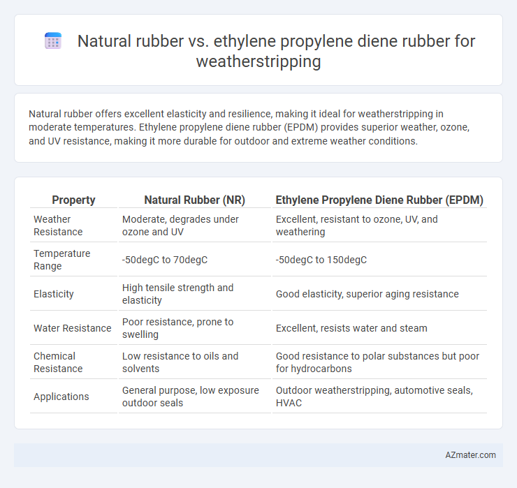 Natural rubber vs. ethylene propylene diene rubber for weatherstripping - What is The Difference?