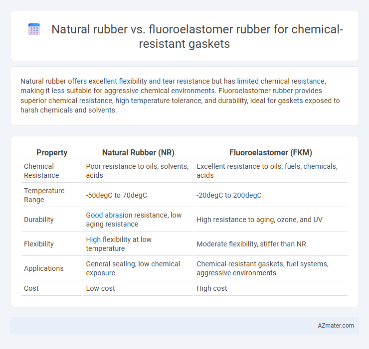 Natural rubber vs. fluoroelastomer rubber for chemical-resistant gaskets - What is The Difference?