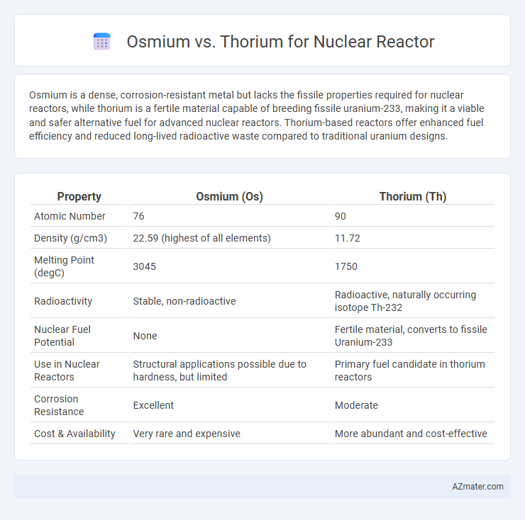 Osmium vs. Thorium for Nuclear Reactor - What is The Difference?