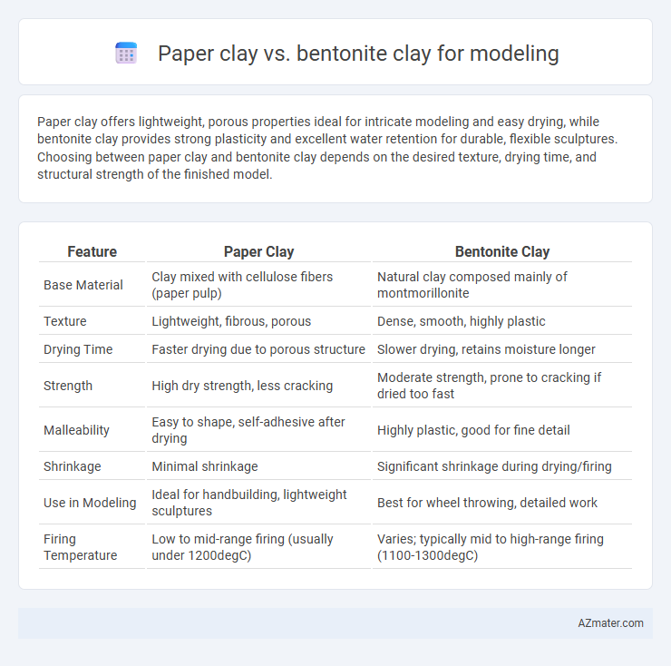 Paper clay vs. bentonite clay for modeling - What is The Difference?