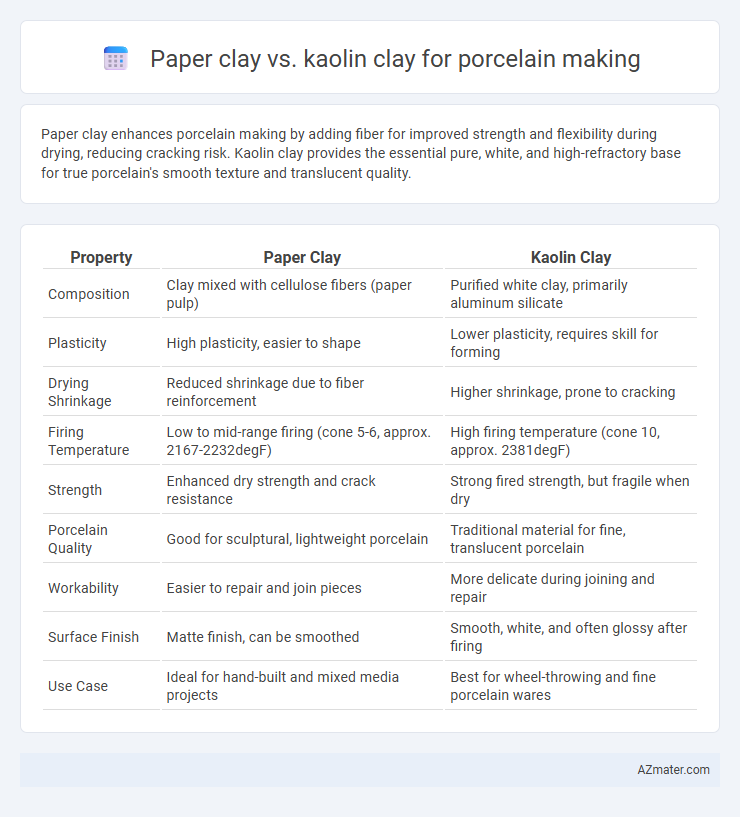 Paper clay vs. kaolin clay for porcelain making - What is The Difference?