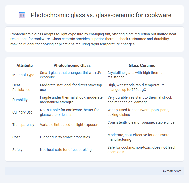 Photochromic glass vs. glass-ceramic for cookware - What is The Difference?