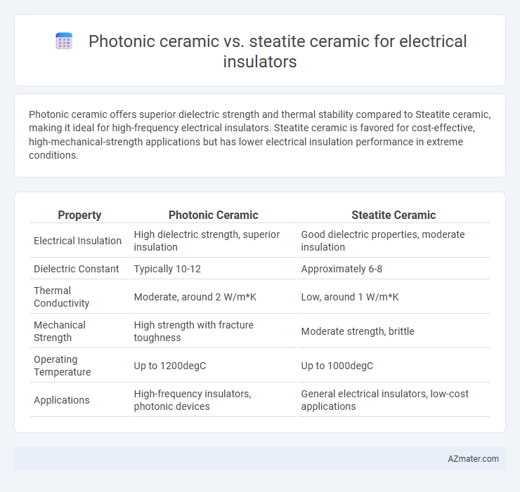 Photonic ceramic vs. steatite ceramic for electrical insulators - What is The Difference?