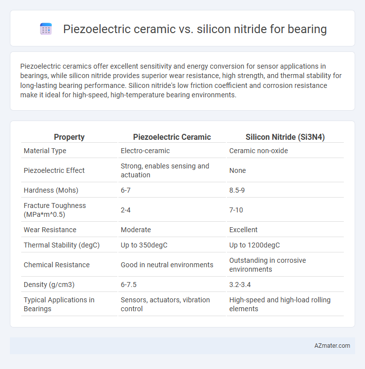 Piezoelectric ceramic vs. silicon nitride for bearing - What is The Difference?
