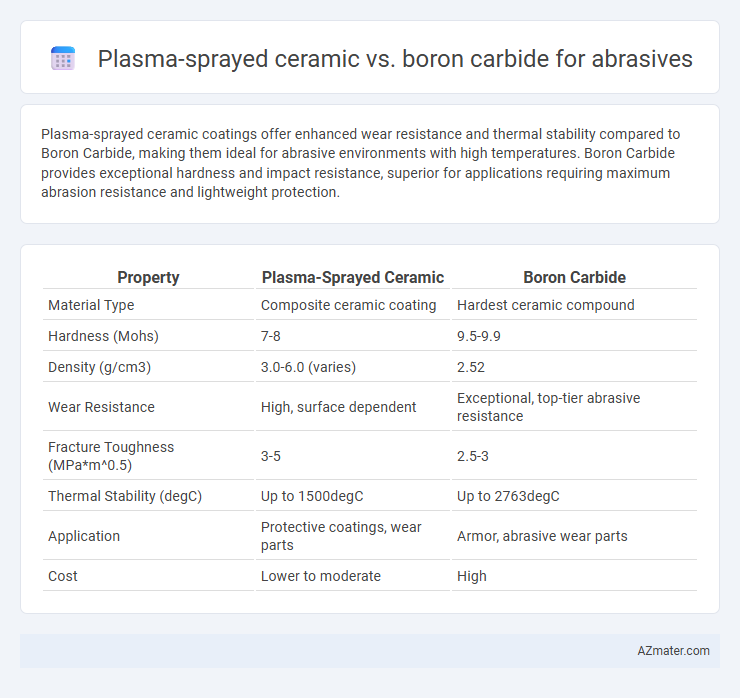 Plasma-sprayed ceramic vs. boron carbide for abrasives - What is The Difference?