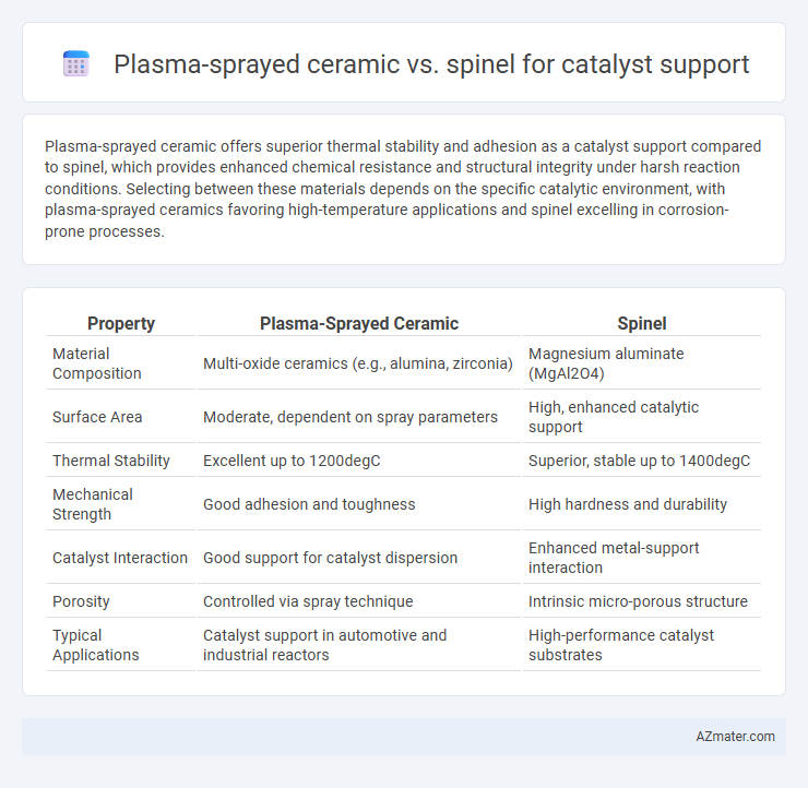 Plasma-sprayed ceramic vs. spinel for catalyst support - What is The Difference?