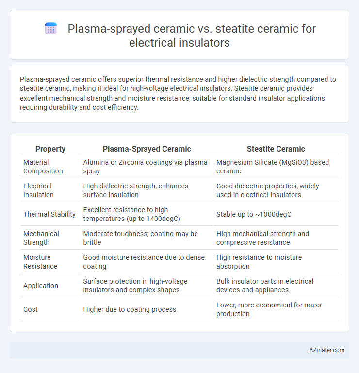 Plasma-sprayed ceramic vs. steatite ceramic for electrical insulators - What is The Difference?
