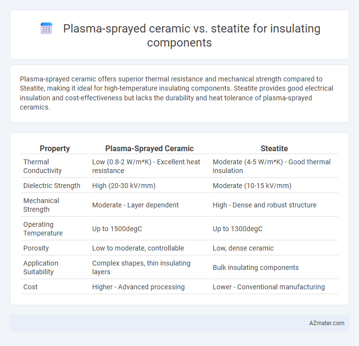 Plasma-sprayed ceramic vs. steatite for insulating components - What is The Difference?