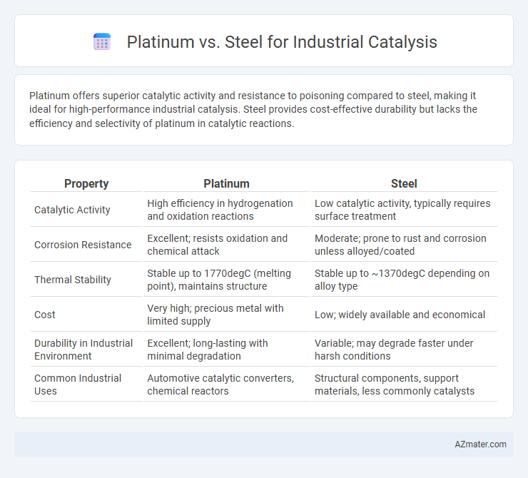 Platinum vs. Steel for Industrial Catalysis - What is The Difference?