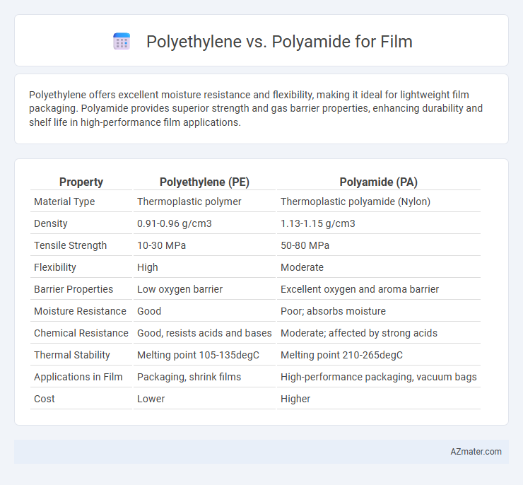 Polyethylene vs. Polyamide for Film - What is The Difference?