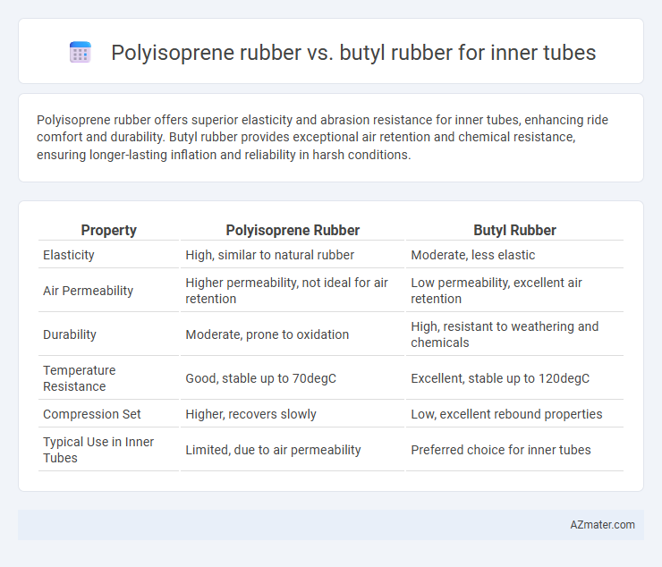 Polyisoprene rubber vs. butyl rubber for inner tubes - What is The Difference?