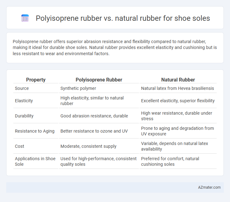 Polyisoprene rubber vs. natural rubber for shoe soles - What is The Difference?