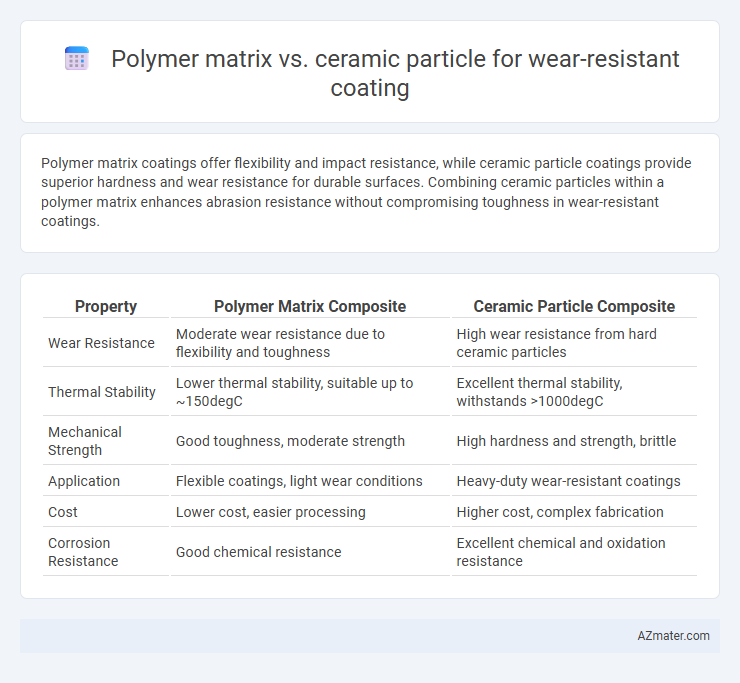 Polymer matrix vs. ceramic particle for wear-resistant coating - What is The Difference?