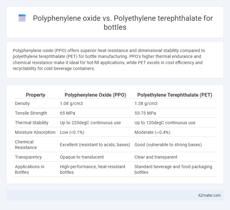 Polyphenylene oxide vs. Polyethylene terephthalate for bottles - What is The Difference?