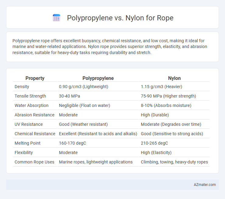 Polypropylene vs. Nylon for Rope - What is The Difference?