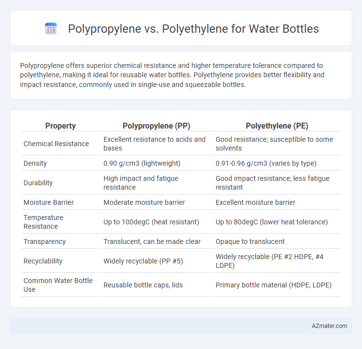 Polypropylene vs. Polyethylene for Water Bottles - What is The Difference?