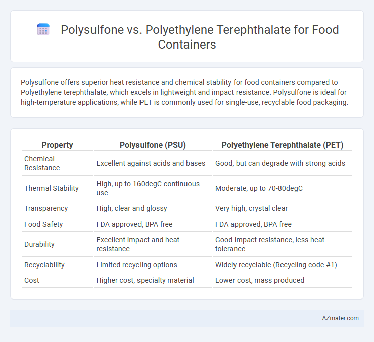 Polysulfone vs. Polyethylene Terephthalate for Food Containers - What is The Difference?