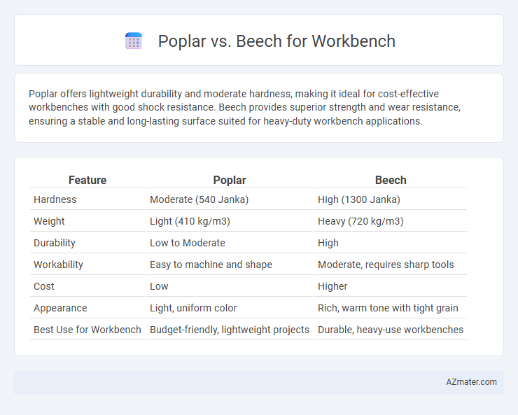 Poplar vs. Beech for Workbench - What is The Difference?