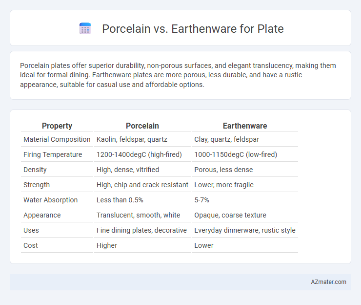 Porcelain vs. Earthenware for Plate - What is The Difference?
