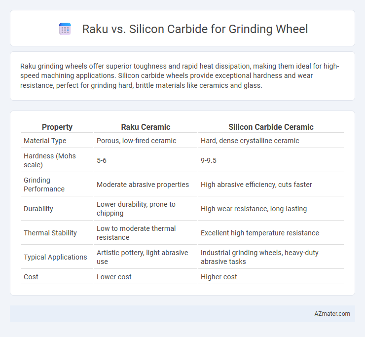 Raku vs. Silicon Carbide for Grinding Wheel - What is The Difference?