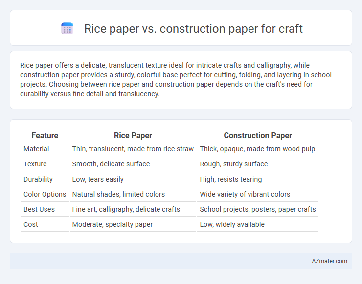 Rice paper vs. construction paper for craft - What is The Difference?