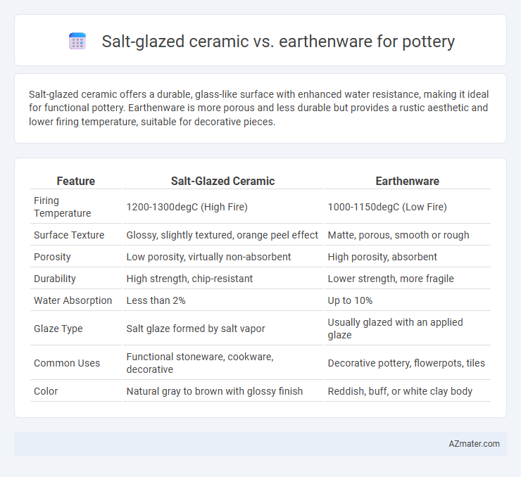Salt-glazed ceramic vs. earthenware for pottery - What is The Difference?