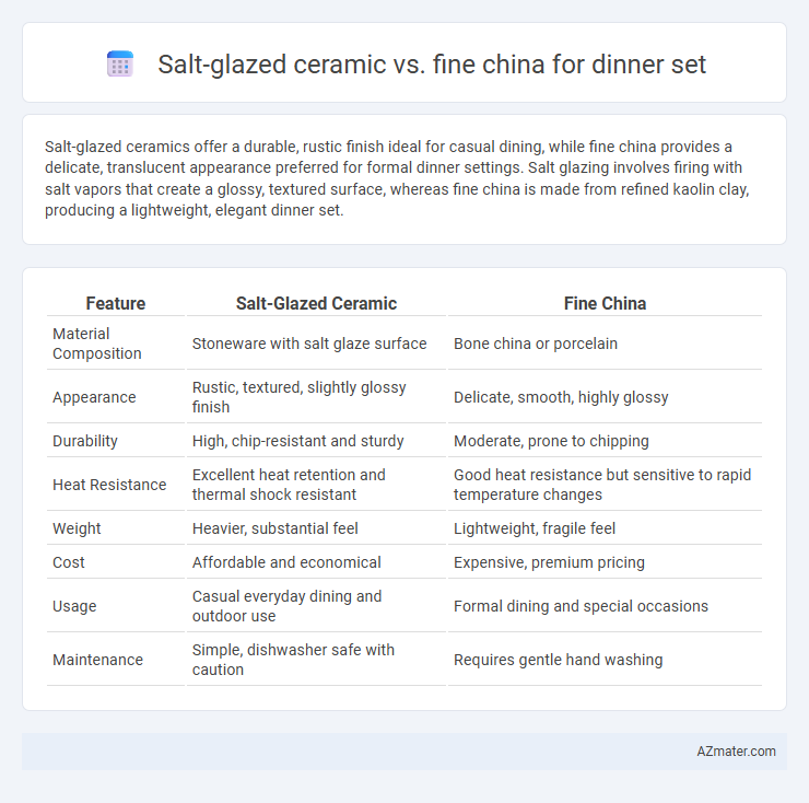Salt-glazed ceramic vs. fine china for dinner set - What is The Difference?