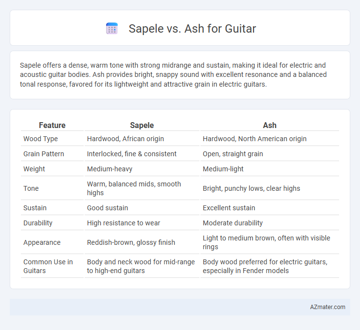 Sapele vs. Ash for Guitar - What is The Difference?