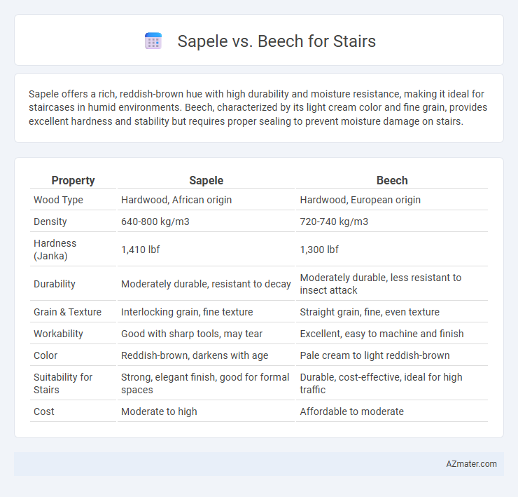 Sapele vs. Beech for Stairs - What is The Difference?