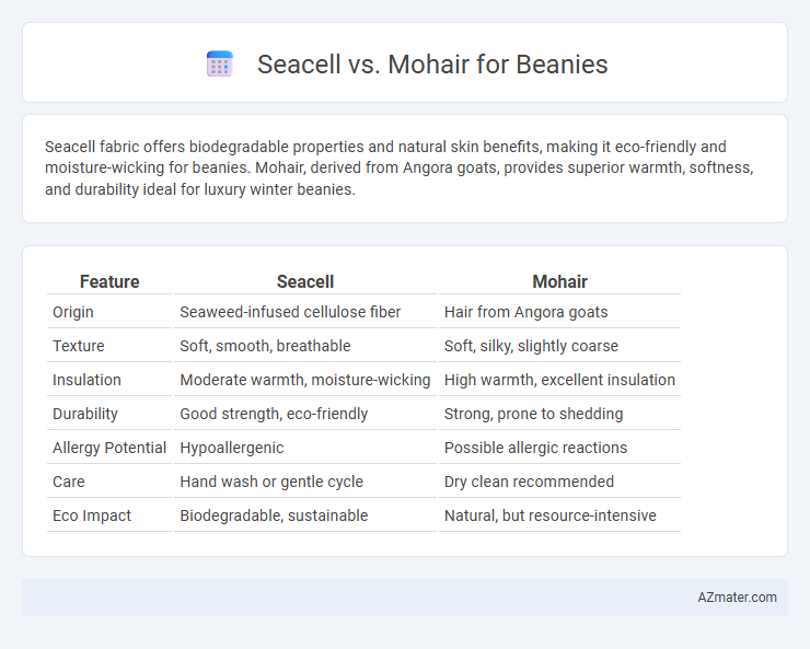 Seacell vs. Mohair for Beanies - What is The Difference?