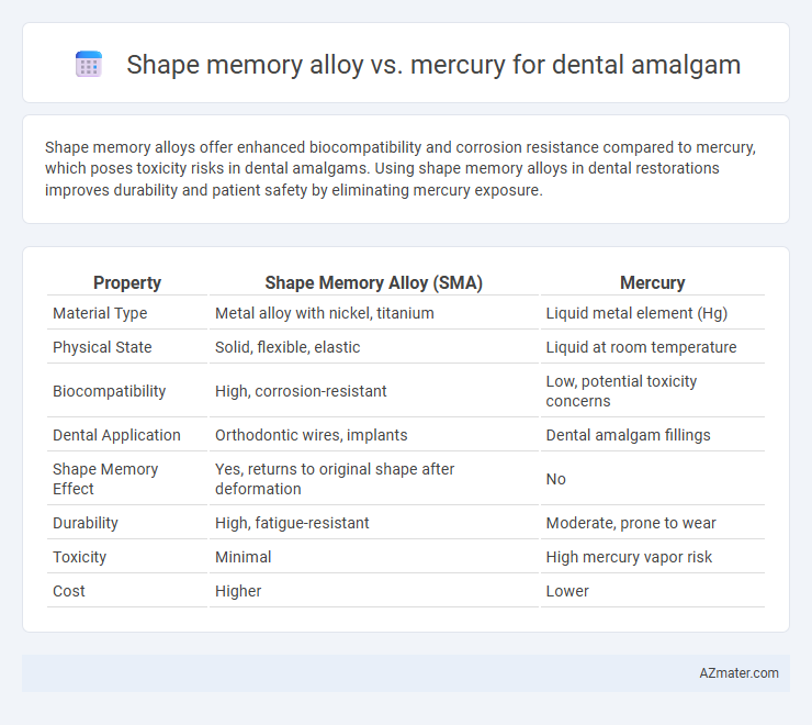 Shape memory alloy vs. mercury for dental amalgam - What is The Difference?