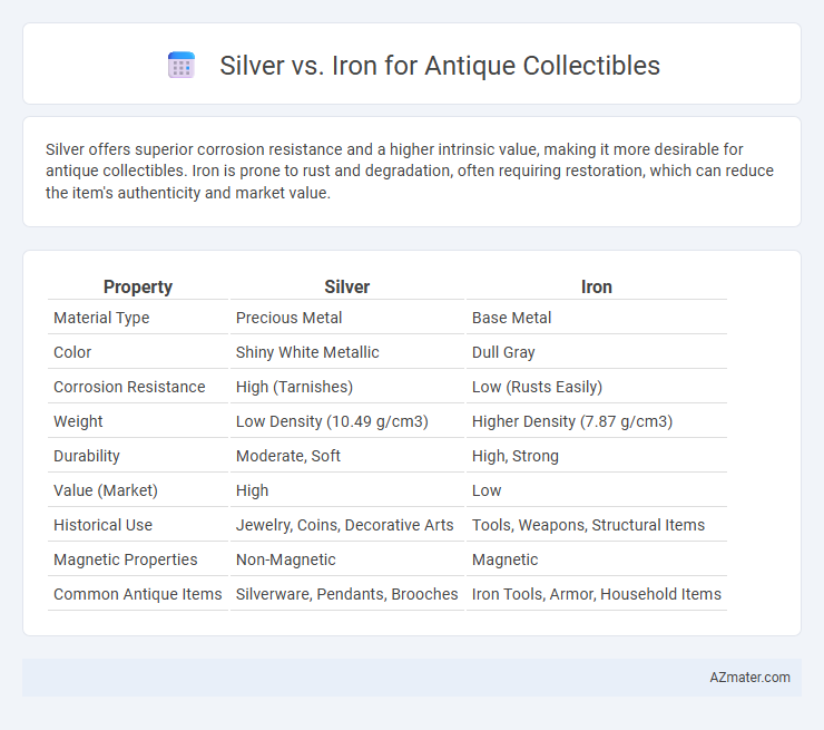 Silver vs. Iron for Antique Collectibles - What is The Difference?