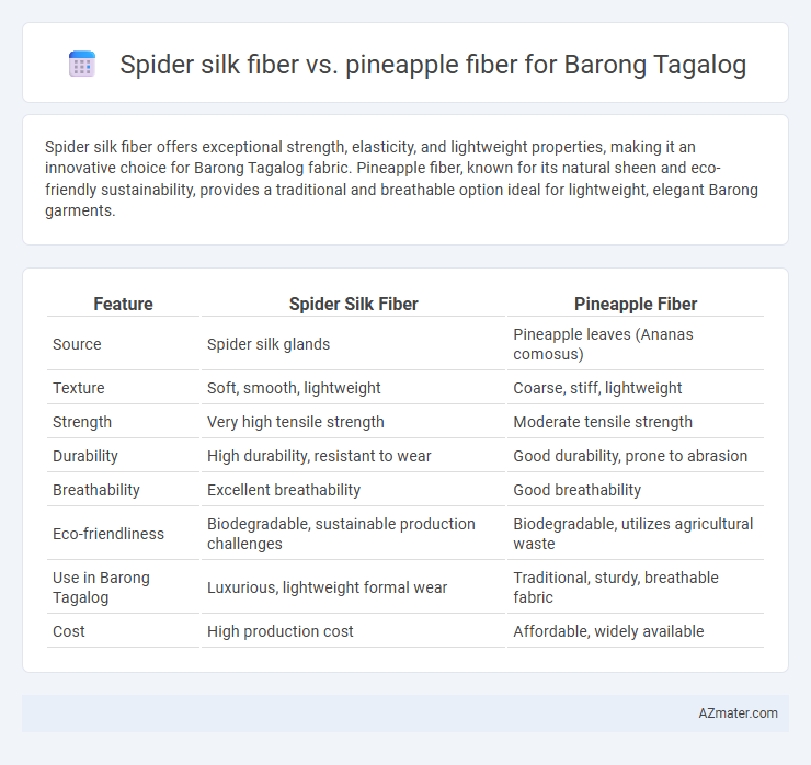 Spider silk fiber vs. pineapple fiber for Barong Tagalog - What is The Difference?