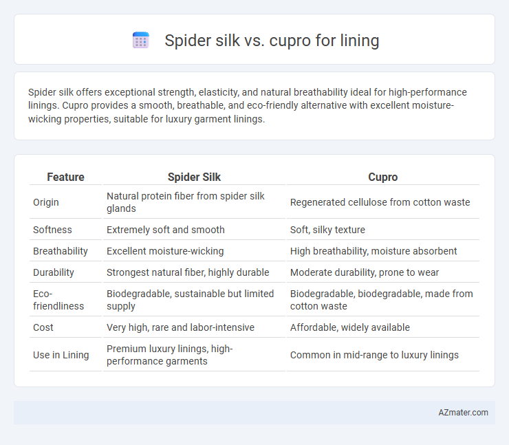 Spider silk vs. cupro for lining - What is The Difference?