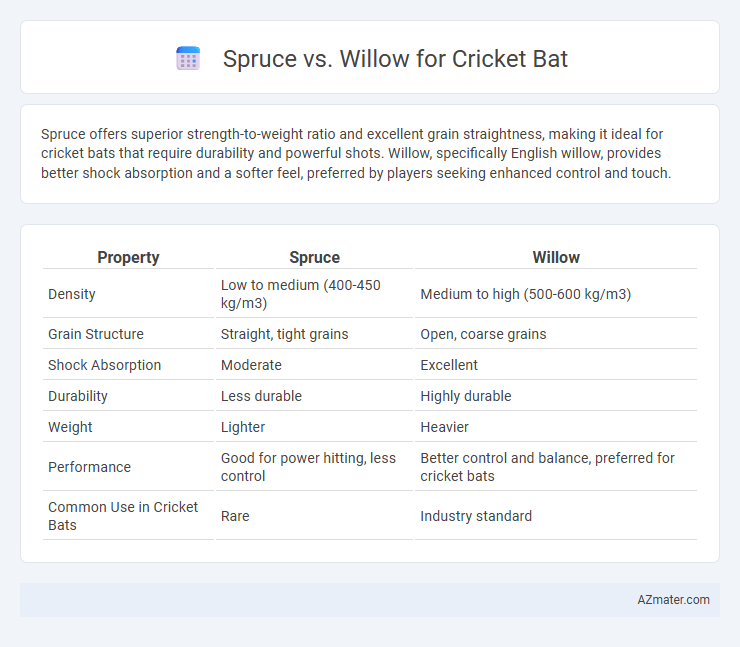 Spruce vs. Willow for Cricket Bat - What is The Difference?