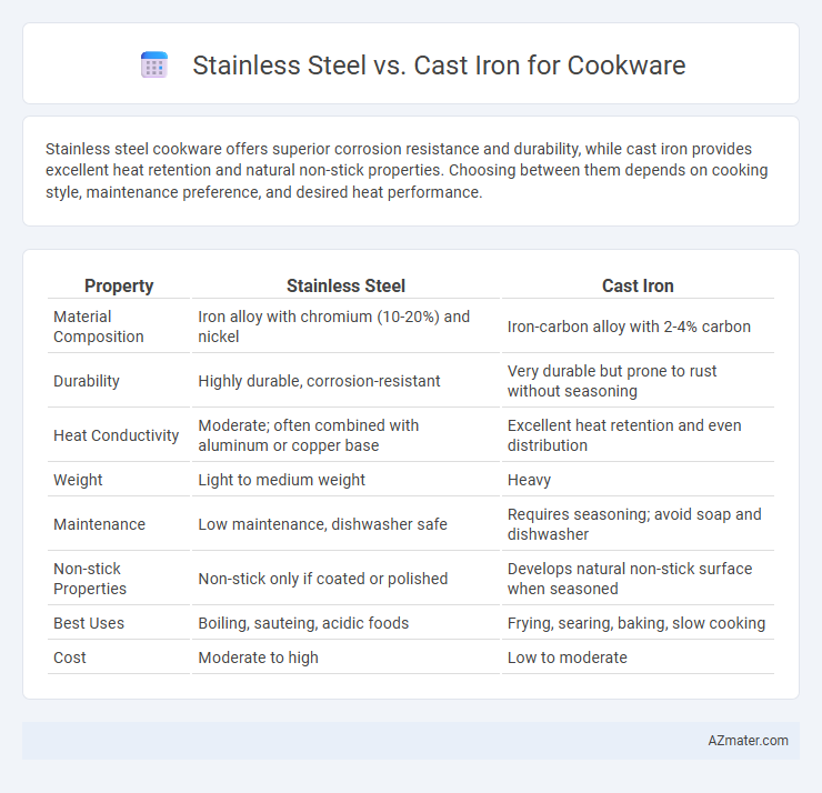 Stainless Steel vs. Cast Iron for Cookware - What is The Difference?