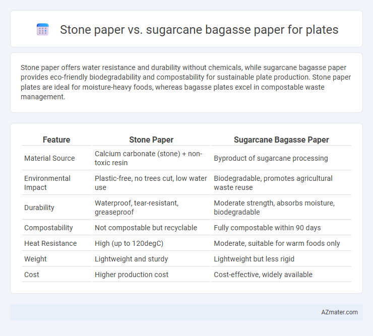 Stone paper vs. sugarcane bagasse paper for plates - What is The Difference?
