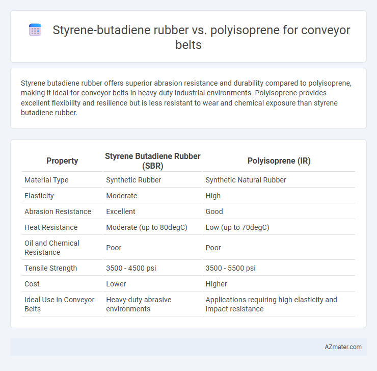 Styrene-butadiene rubber vs. polyisoprene for conveyor belts - What is The Difference?