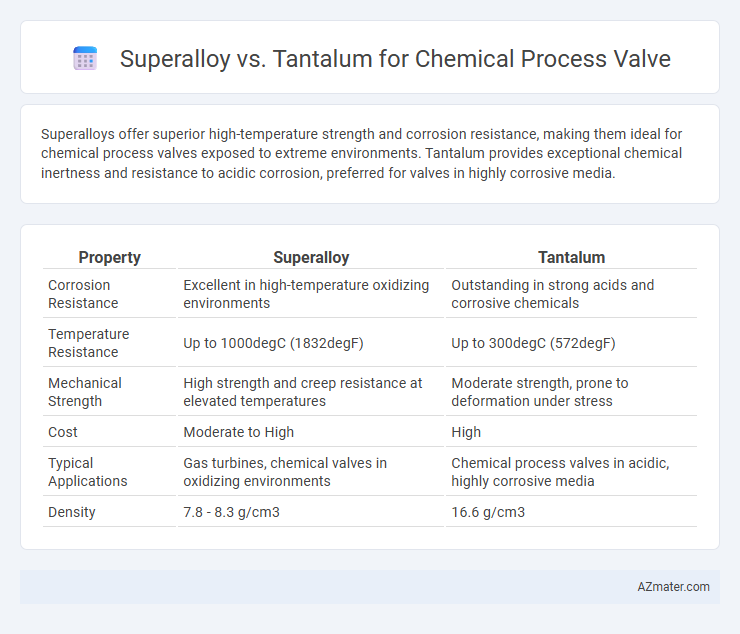 Superalloy vs. Tantalum for Chemical Process Valve - What is The Difference?