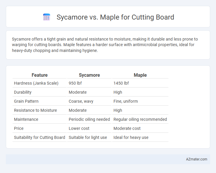 Sycamore vs. Maple for Cutting Board - What is The Difference?