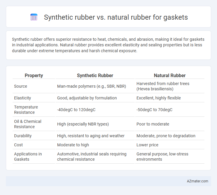 Synthetic rubber vs. natural rubber for gaskets - What is The Difference?