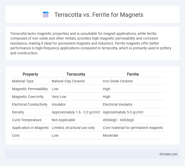 Terracotta vs. Ferrite for Magnets - What is The Difference?