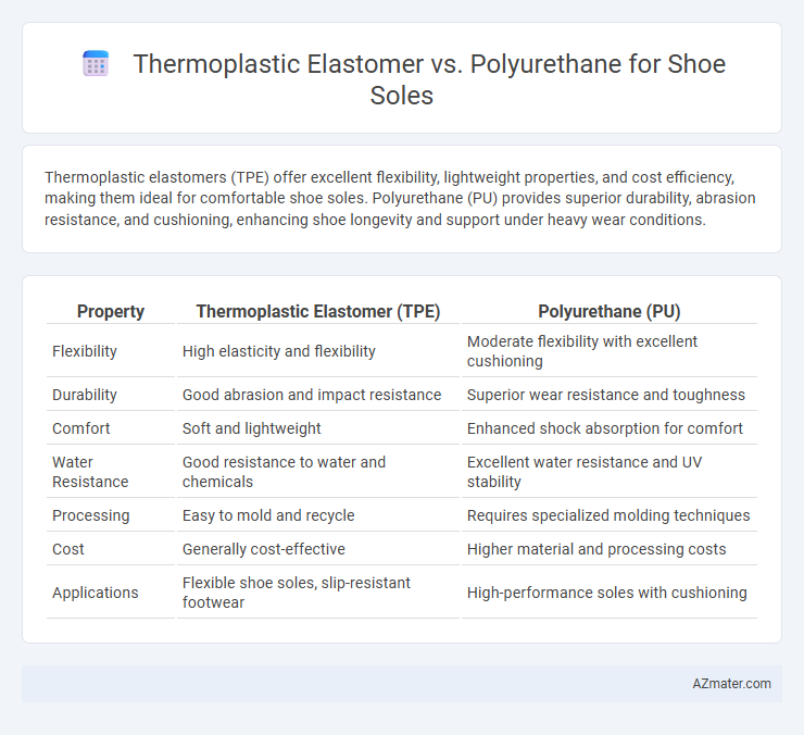 Thermoplastic Elastomer vs. Polyurethane for Shoe Soles - What is The Difference?