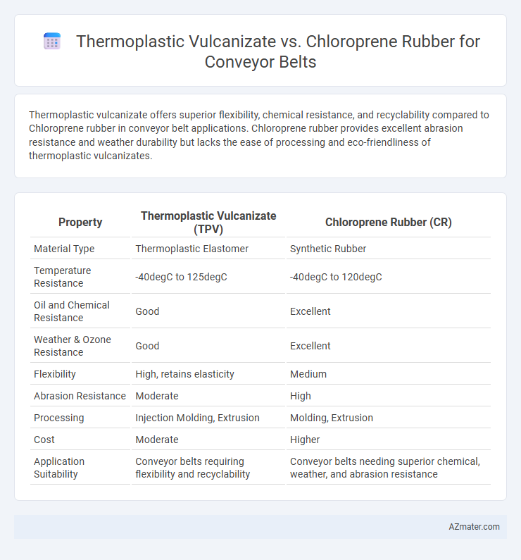 Thermoplastic Vulcanizate vs. Chloroprene Rubber for Conveyor Belts - What is The Difference?